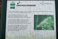 BSG-wandeling-Den-Dolder_Niek_dec-2025_20