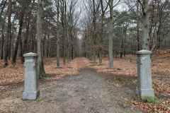 BSG-wandeling-Den-Dolder_Niek_dec-2025_8