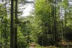 BSG-wandeling-Veenendaag-sept-2019_11