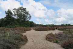 BSG-wandeling-Veenendaag-sept-2019_4