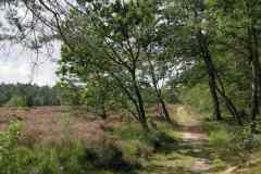 BSG-wandeling-Veenendaag-sept-2019_6