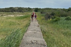 image11