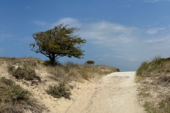 image13