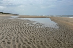 image15