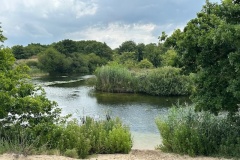 image4